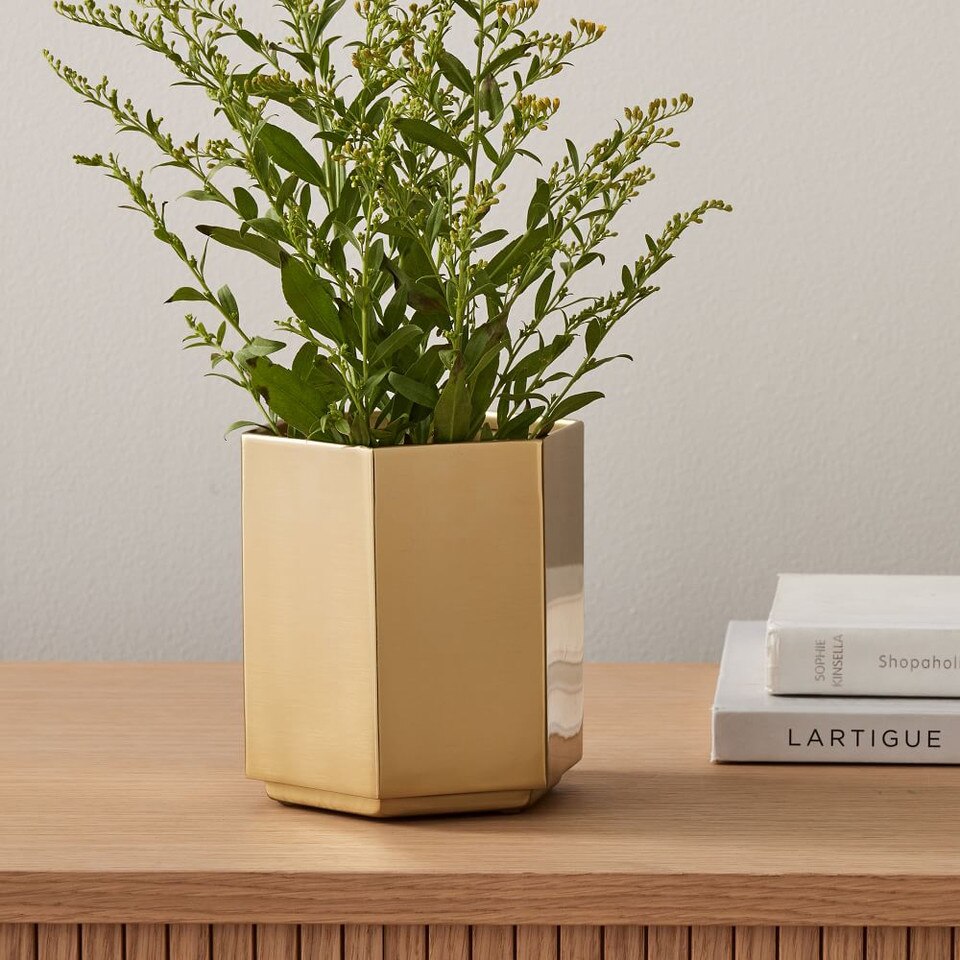 Hexagon Brass Planters West Elm UK